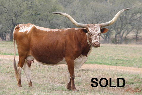 Folsom Butler Bell BW23